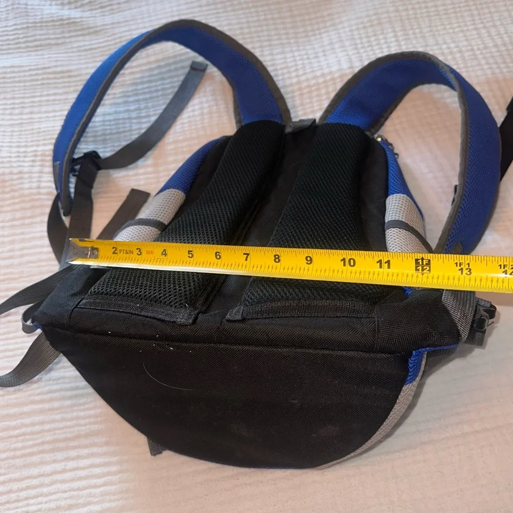 Blue and Gray Small Pet Backpack